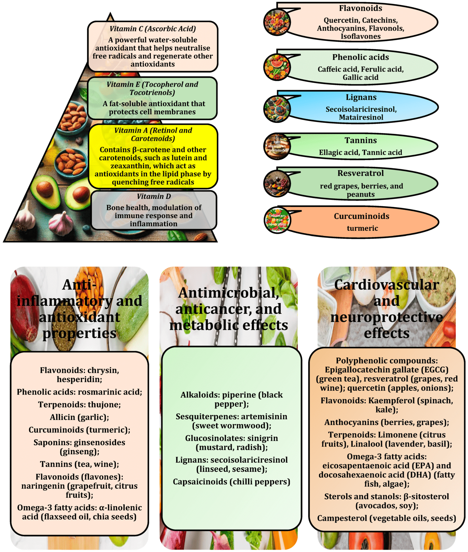 Antioxidant-Rich Functional Foods and Exercise: Unlocking Metabolic Health Through Nrf2 and Related Pathways