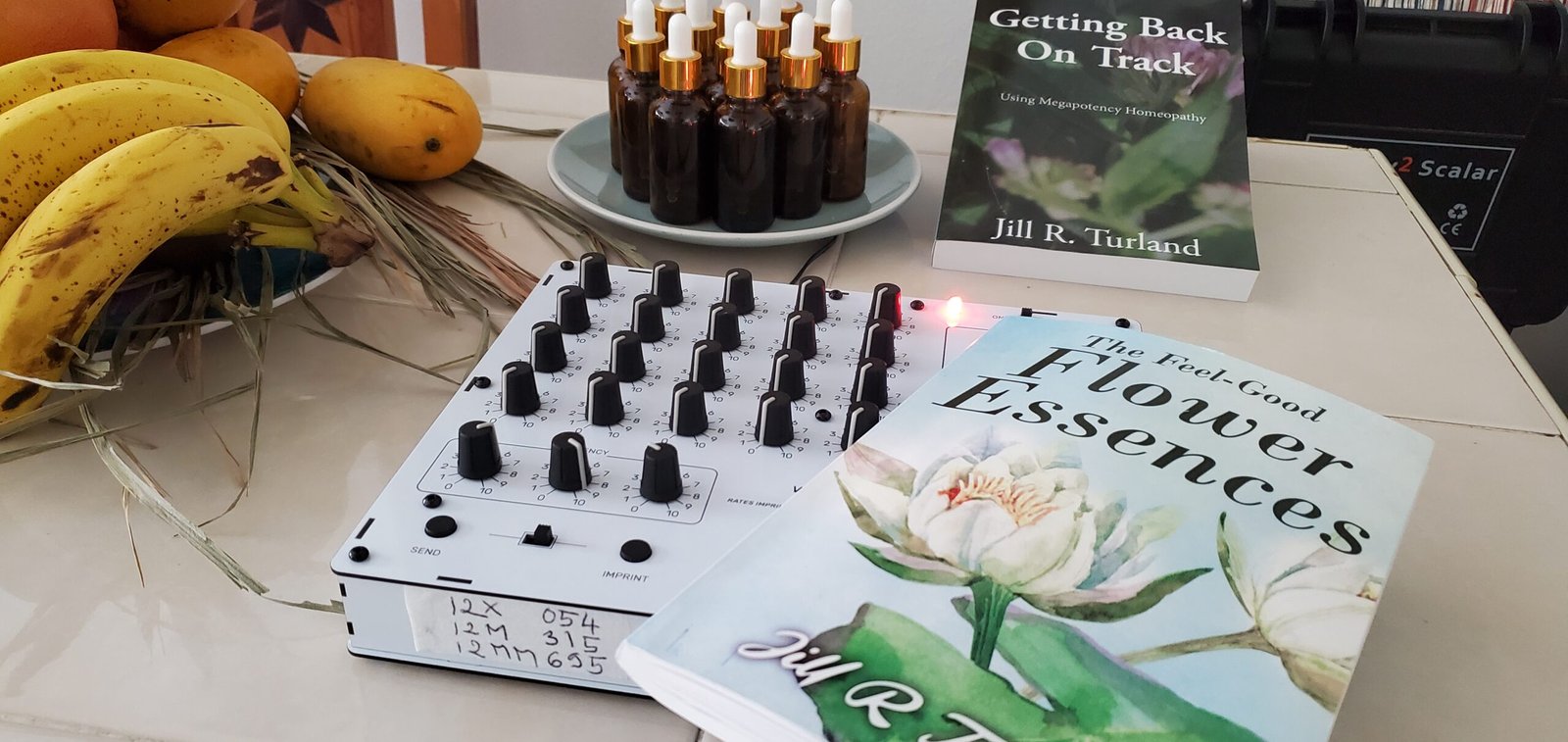 Homeopathic remedy single vial pricing