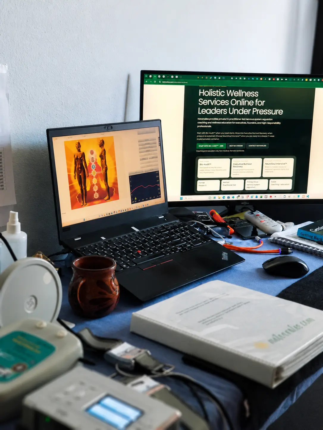 Natoorales practitioner workspace for Bio-Audit mapping and wellness session planning
